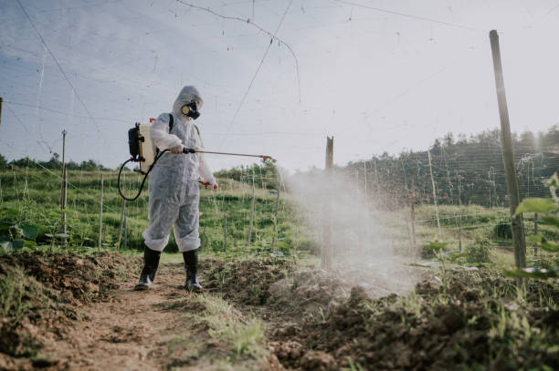 Best Pest Removal Services  in Pinson, AL