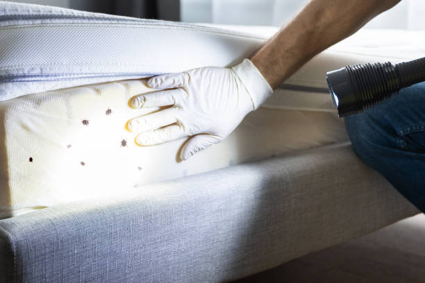 Best Commercial Pest Control Services  in Pinson, AL