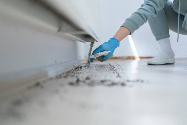 Best Flea Control Services  in Pinson, AL