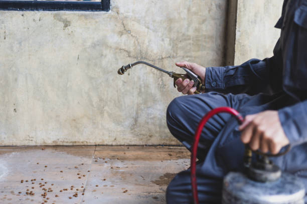 Best Pest Control for Businesses  in Pinson, AL